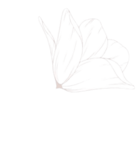 bw decorativa 2 1